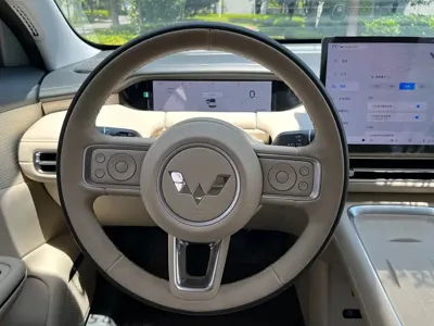 Wuling 缤果S