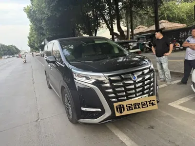 Denza Denza D9