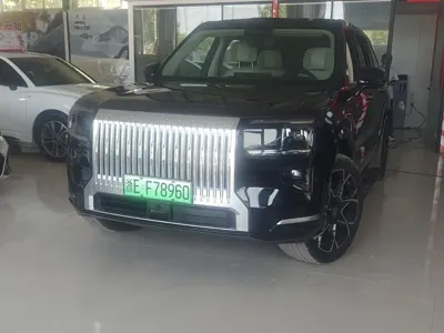 Zeekr 极氪9X