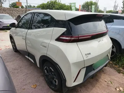 BYD Seagull