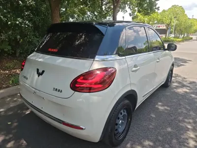 Wuling Bingo