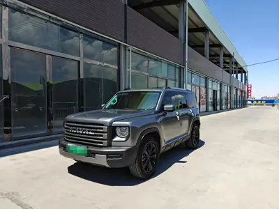 Haval Menglong New Energy