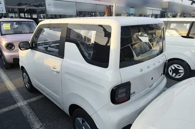 Geely Galaxy Panda