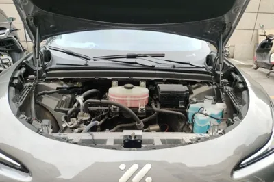 IM LS6