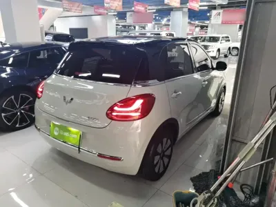 Wuling Bingo