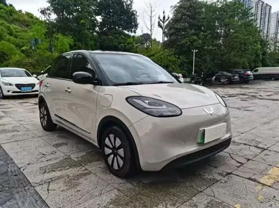 Wuling Bingo