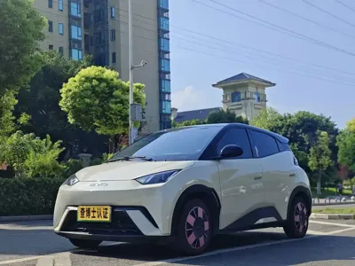 BYD Seagull