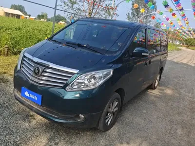 Fengxing Lingzhi PLUS