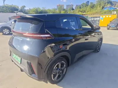 BYD Seagull