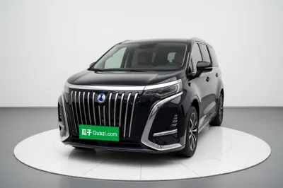 Denza D9
