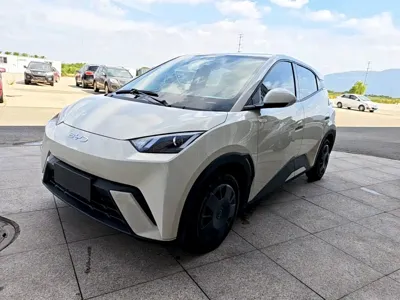 BYD Seagull