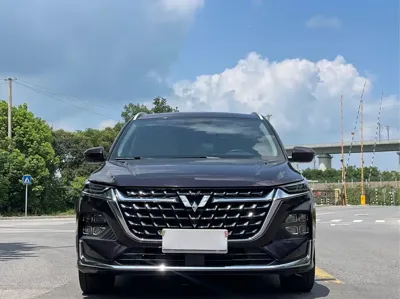 Wuling Victory
