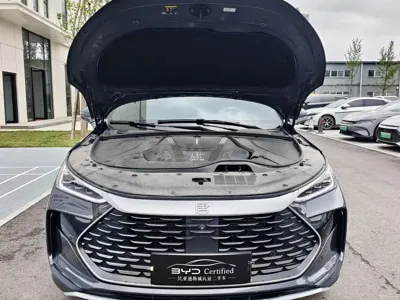 BYD Tang New Energy