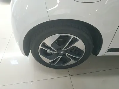 Euler White Cat