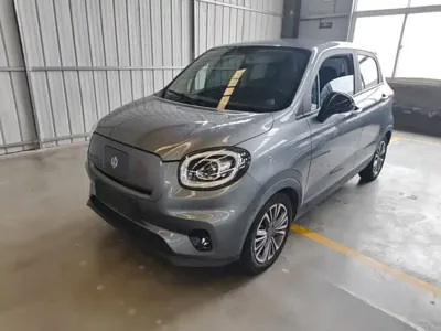 Leapmotor Leapmotor T03
