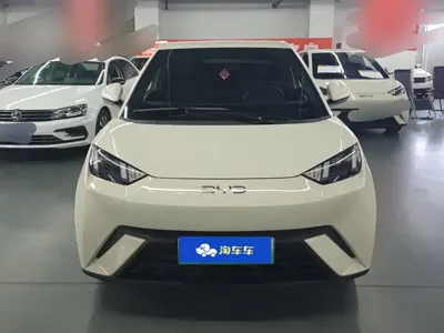 BYD Seagull