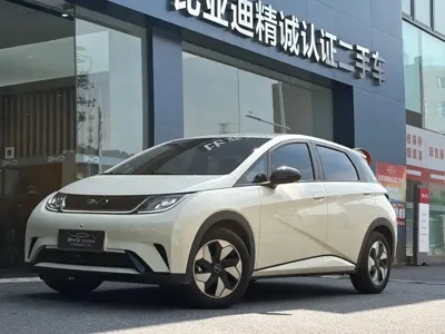 BYD Dolphin