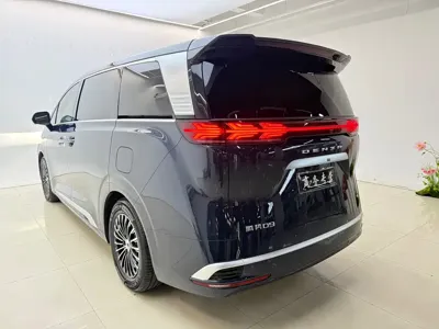 Denza Denza D9