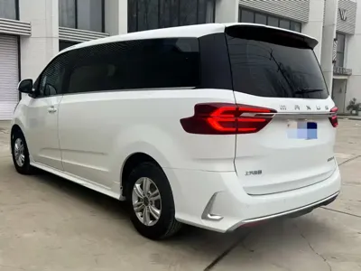 大通 G20