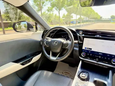 Lexus RZ