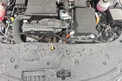 BYD Destroyer 05