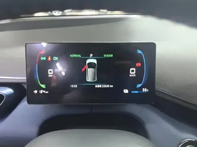 BYD Seagull