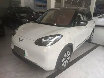 Wuling Bingo