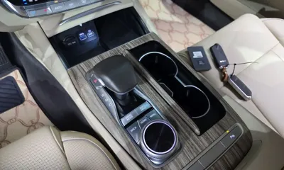 Kia K9