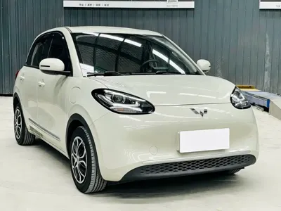 Wuling Bingo