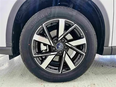 BYD Pro New Energy