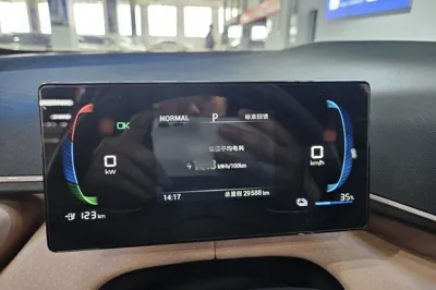 BYD Seagull