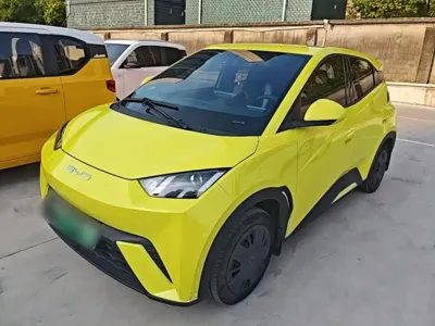 BYD Seagull