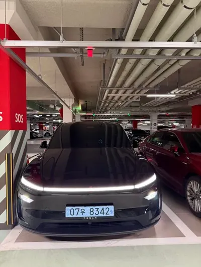 Tesla Model Y