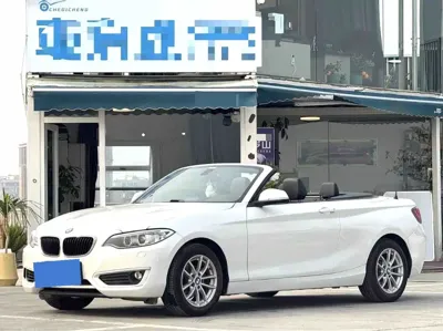 BMW 2 Series (Import)