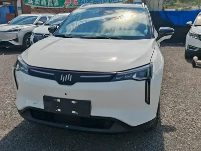 WM Motor W6