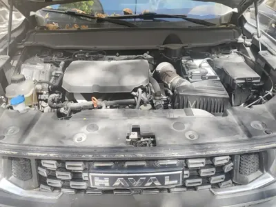 Haval Big Dog PLUS