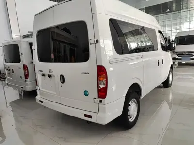 Maxus V80