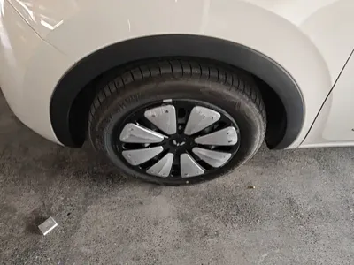 Wuling Bingo