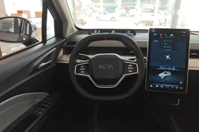 NETA V