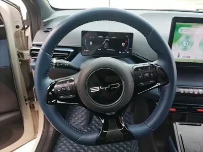 BYD Seagull