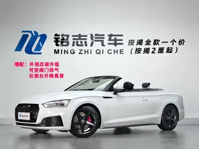 Audi A5 (Import)
