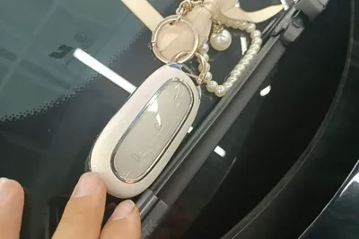 Li Auto L8