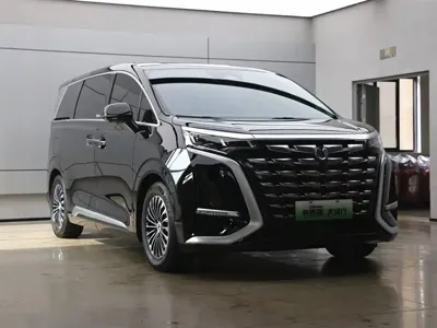 Denza Denza D9