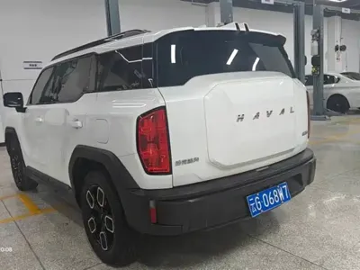 Haval Cool Dog