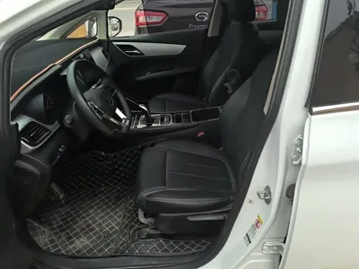 BYD MAX