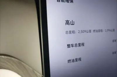 WEY Gaoshan