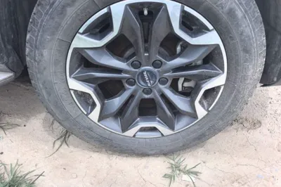 Haval Dargo