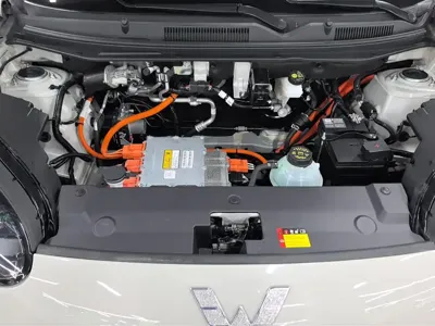 Wuling Bingo