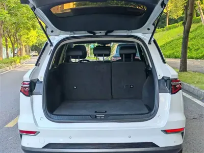 BYD Pro New Energy