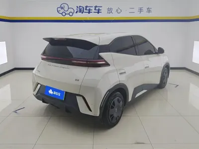 BYD Seagull